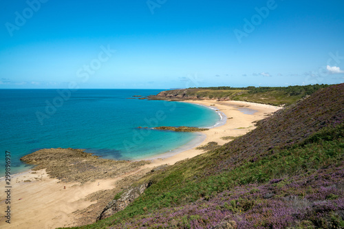 idyllic wild secluded beach with turquoise water and lilac heath meadows © makasana photo