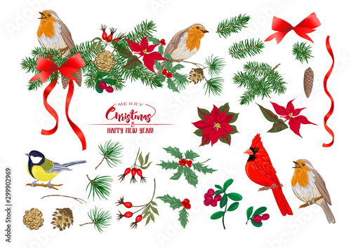 Tit bird, Robin bird, Cardinal bird, Christmas wreath of spruce, pine, poinsettia, dog rose, fir. Set of elements for design Colored vector illustration. Isolated on white background. .