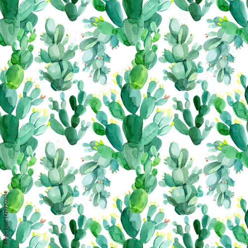 watercolor cacti seamless pattern of watercolor green cacti, succulents, haworthia on a white background, hand-drawing, greeting cardn a white background, decorative drawings, abstract plants photo