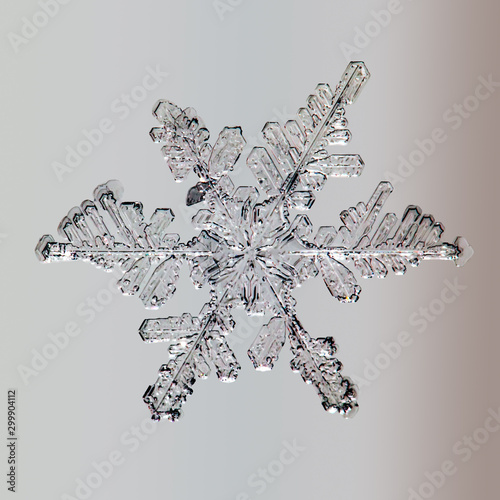 real snowflake 