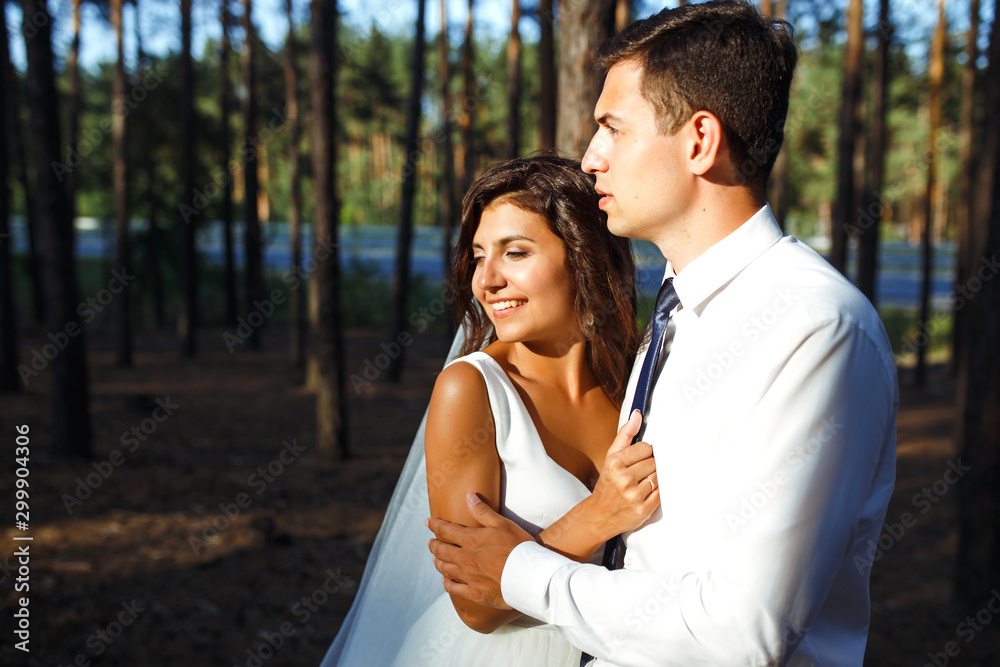 A happy newlywed couple of the bride and groom are walking on nature in a green forest. The bride and groom hug and kiss.Together. Young family. Marriage. Wedding concept. A happy newlywed couple of the bride and groom are walking on nature in a green forest. The bride and groom hug and kiss.Together. Young family. Marriage. Wedding concept.