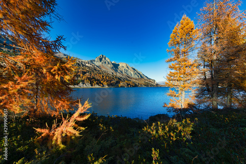Autumn colors in the Swiss Engadine valley