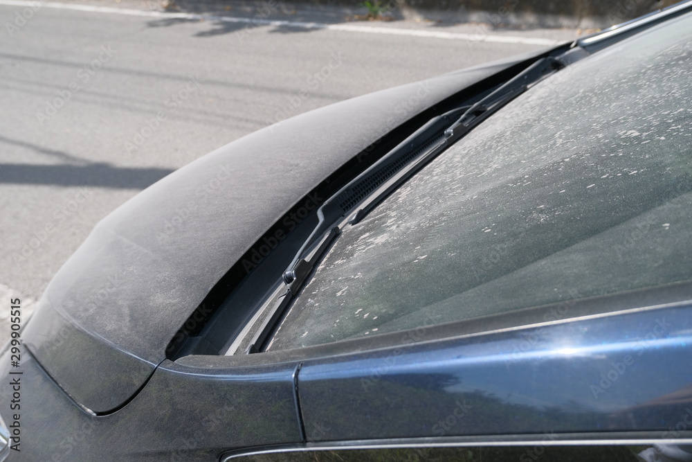 Obraz premium ボンネットの上に積もる火山灰