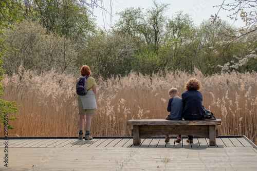 Visitors to a large nature reserve seen observing some wetland to hopefully see some wild fowl. A newly installed platform and bench is seen also.