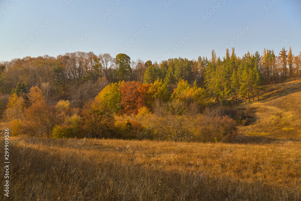 autumn landscape with trees and blue sky