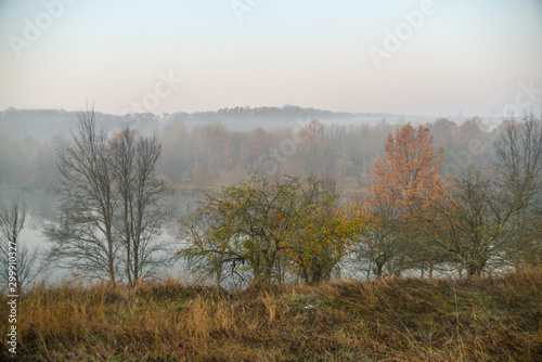 Morning in autumn forest with lake
