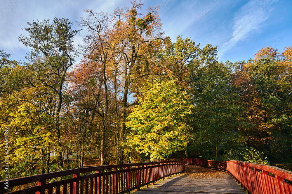 Wooden bridge in the city park during autumn in Poznan.