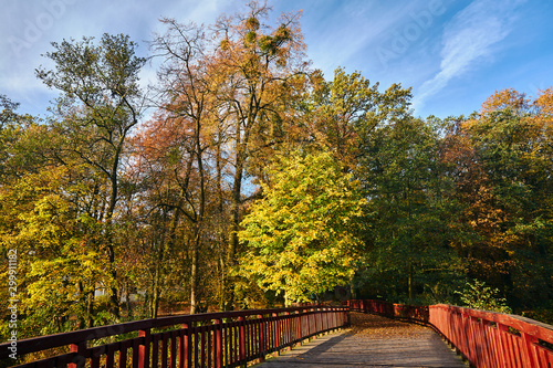 Wooden bridge in the city park during autumn in Poznan.