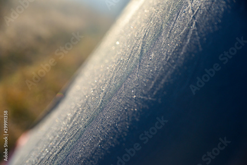 Water droplets on the tent