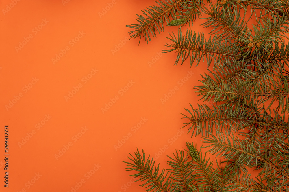 Decoration for Christmas and New Year Greeting Card. Several Green Branches Forming Semi Circle on Orange Background. Copy Space on The Left Side.