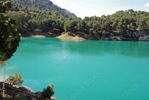 Elevated view across Guadalhorce lake towards the pine trees near Ardales, Spain.