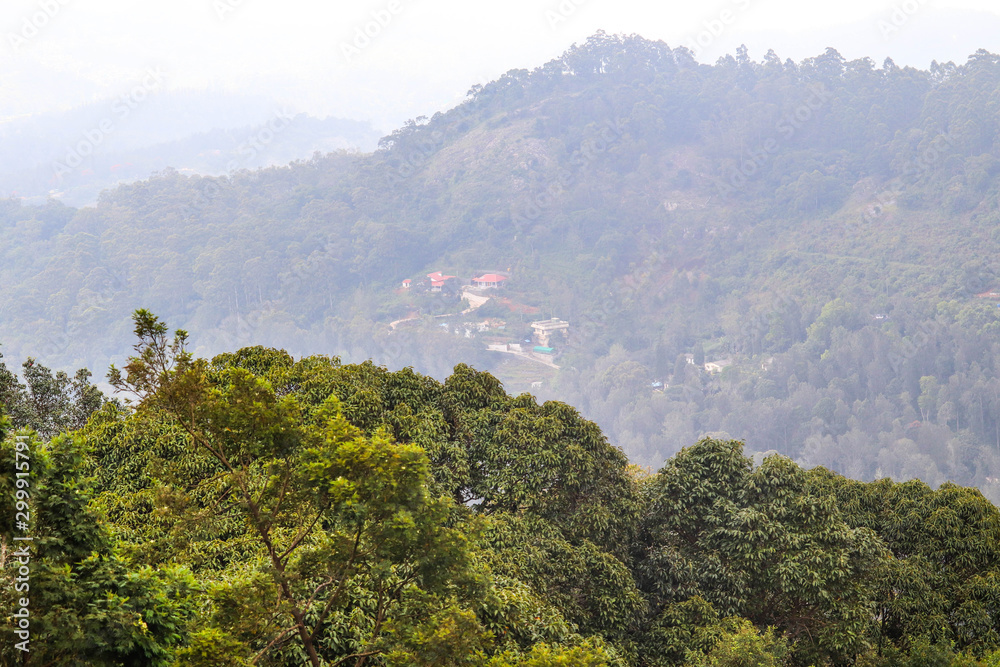 Fototapeta premium View of Dense Forest Trees and Mountains in Fog from Servaroyan View Point Yercaud Hill Station Tamil Nadu India