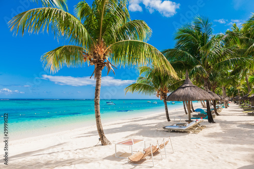 Chairs and umbrella at palm beach - Tropical banner