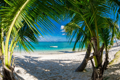 Fototapeta Naklejka Na Ścianę i Meble -  Palm luxury beach with coconut palms, sand and ocean. Tropical holiday banner