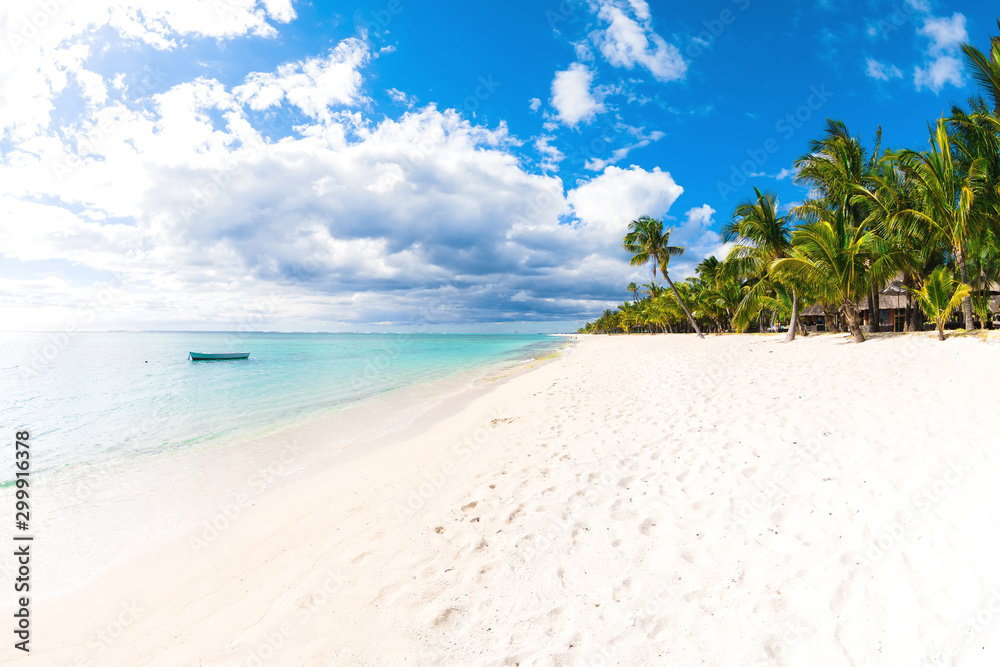 Tropical beach with ocean, white sand, coconut palms