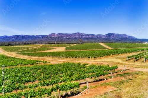 Wallpaper Mural D HV Pokolbin Range Low Shapes Torontodigital.ca