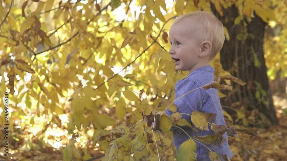 Little cute one year old baby is played near the tree in the autumn park. Standing on fallen yellow leaves and smiling at the camera. Close up, slow motion. Little cute one year old baby is played near the tree in the autumn park. Standing on fallen yellow leaves and smiling at the camera. Close up, slow motion.