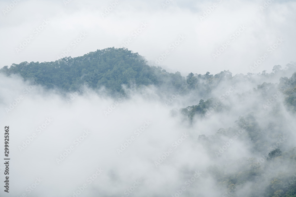 foggy landscape in the mountains