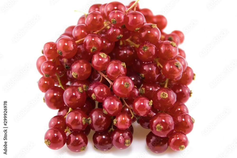 Rote Johannisbeeren auf weißem Hintergrund Rote Johannisbeeren auf weißem Hintergrund