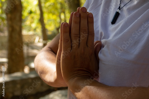  palms together in the forest practicing yoga