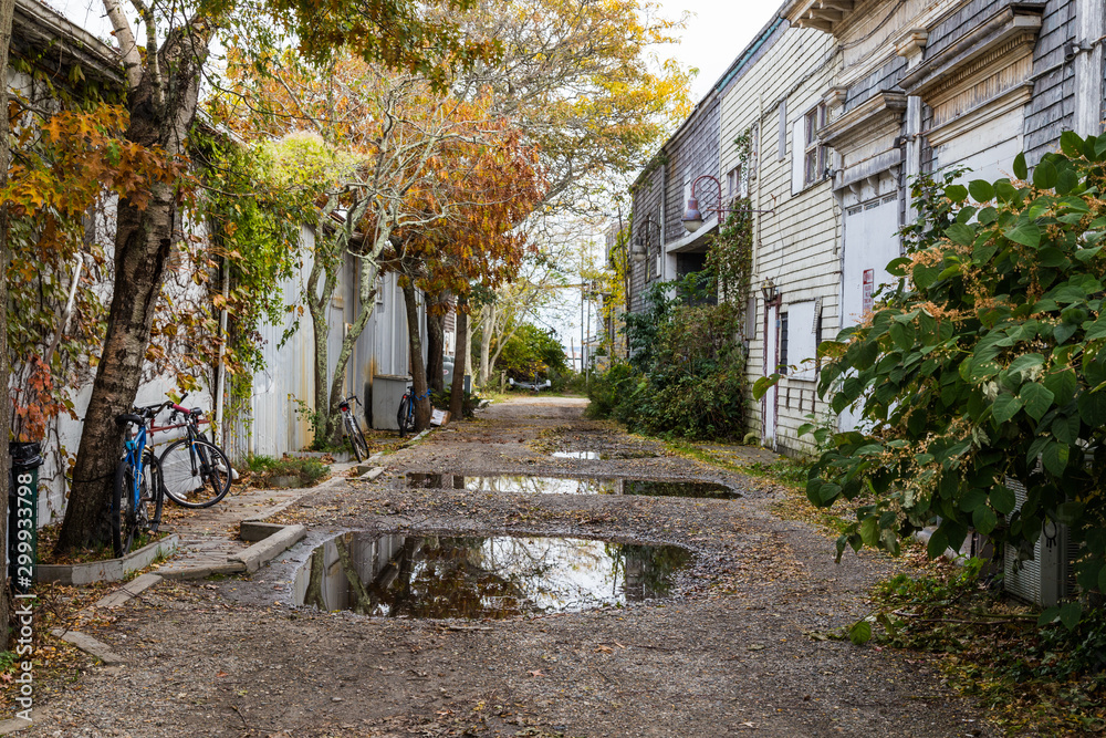 Beautiful foliage on Commercial Street alley. Provincetown, Cape Cod, Massachusetts.