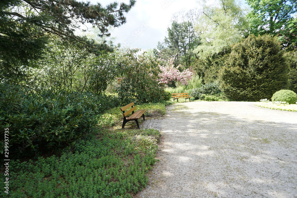 Well laid out path through a park invites you to go for a walk Well laid out path through a park invites you to go for a walk