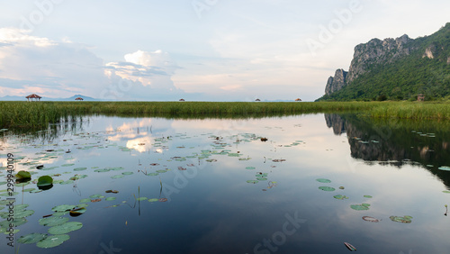 scenary of fresh water lotus lake in San Roi Yod Nationpark Thailand