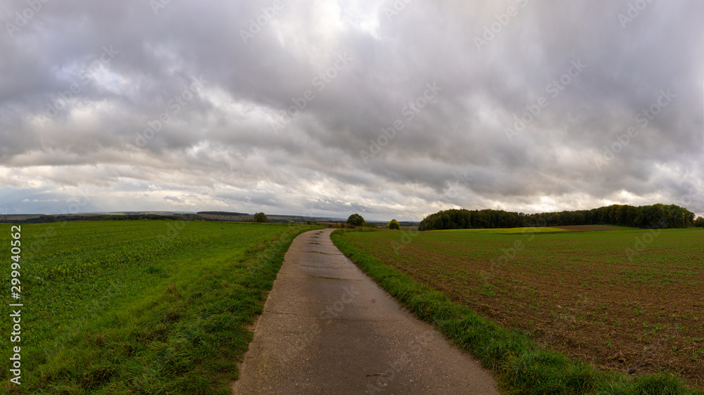 Obraz premium road in the field