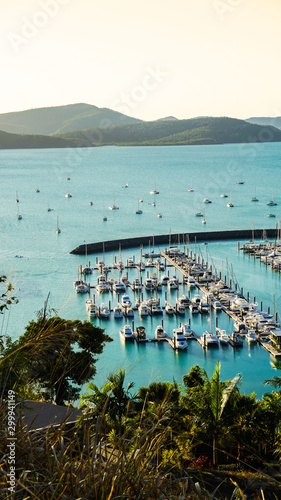 marina airlie beach photo