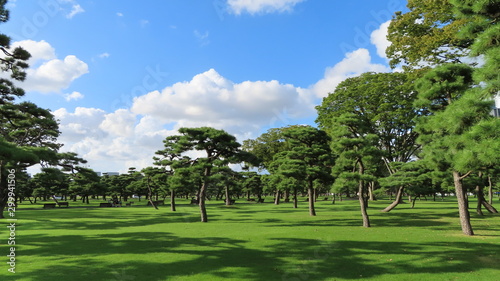 Nice views park on Tokyo - Japan