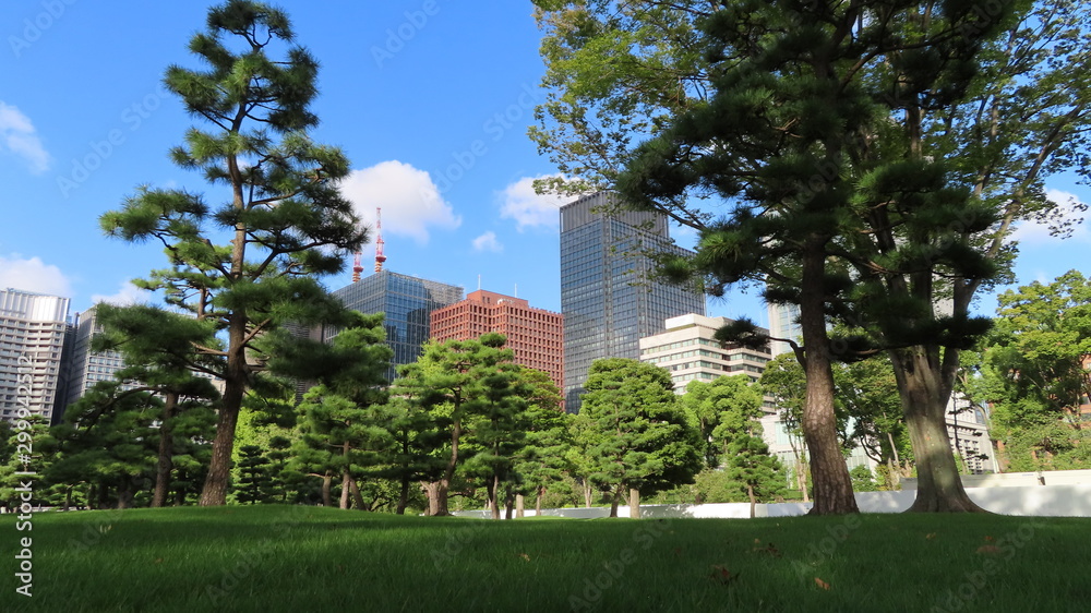 Nice views park on Tokyo - Japan