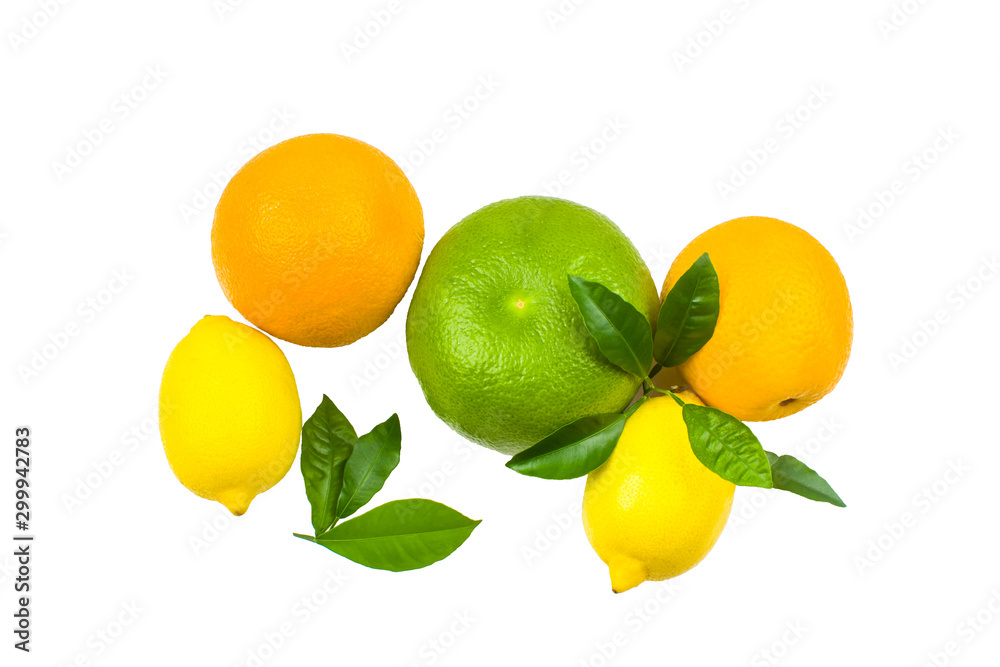 various citrus fruits on white background with copyspace. citrus food background.  Lemon fruit, citrus minimal concept, vitamin C. creative summer minimalist background. Flatlay, top view, copy