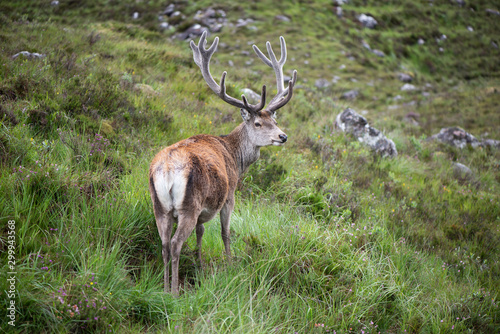 Scotland Uk, France and Spain, a collection