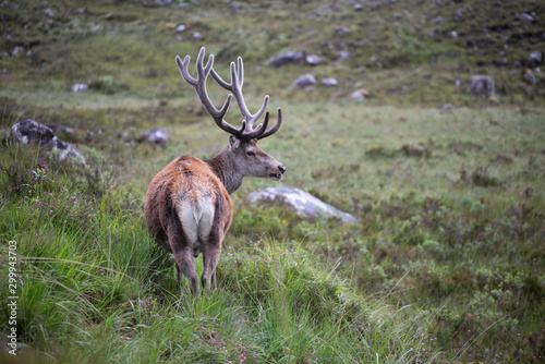 Scotland Uk, France and Spain, a collection
