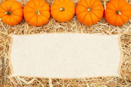 Beige straw hay background with pumpkins