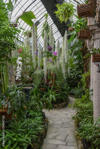 The garden of Bella island on lake Maggiore in Italy