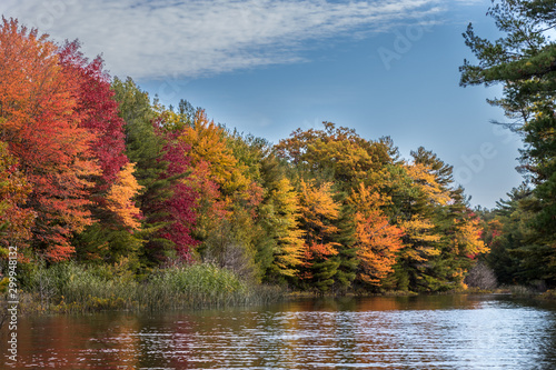 autumn landscape with lake and trees in Canada
