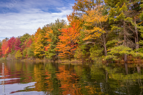 Colourful autumn leaves Beausoleil Island, Ontario, Canada photo