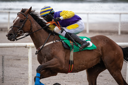 Close up on Race horse and jockey racing,  Horse racing action on the  beach