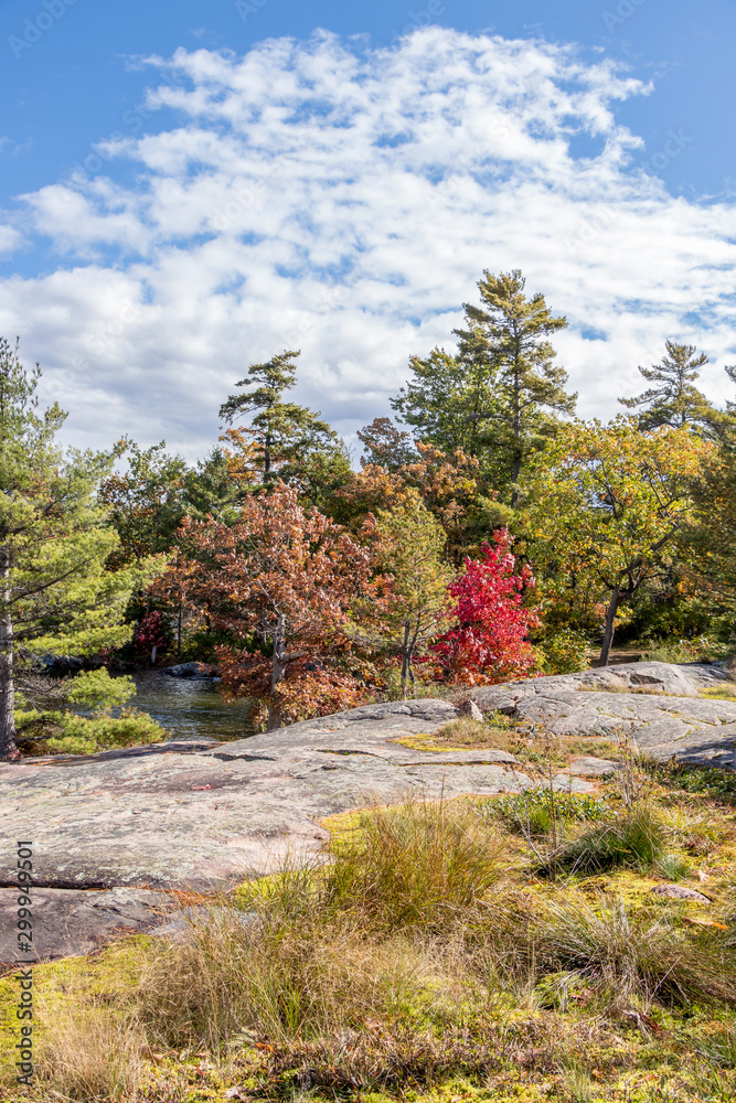 clouds, colourful leaves and rocks, Beausoleil Island, Ontario, Canada