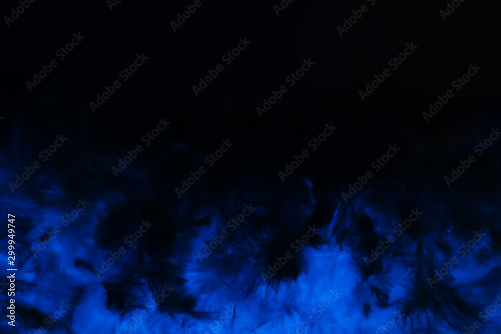 Beautiful abstract purple and blue feathers on the dark and black background and colorful soft black feather texture Beautiful abstract purple and blue feathers on the dark and black background and colorful soft black feather texture