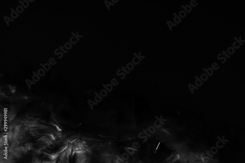 Beautiful abstract gray and white feathers on the dark and black background and colorful soft black feather texture