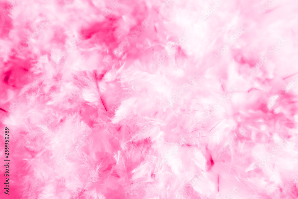 Beautiful abstract blue and purple feathers on darkness background and colorful soft white pink feather texture pattern