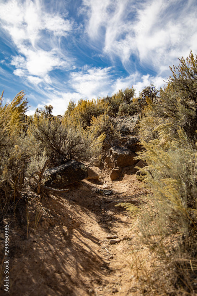 Nature Path at Royal Gorge in Taos NM Nature Path at Royal Gorge in Taos NM