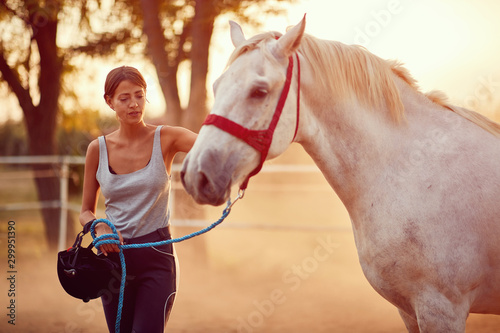 woman rider and her beautiful horse at summer day on the farm.