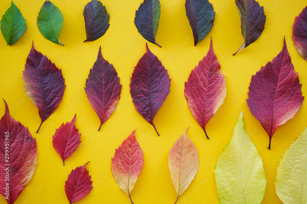 Autumn colorful leaves on a yellow background Autumn colorful leaves on a yellow background