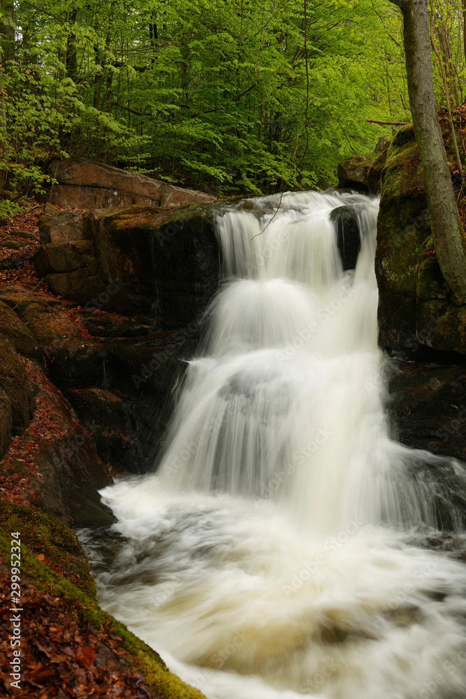 Fototapeta premium Potoka Falls in super green forest surroundings, Czech Republic