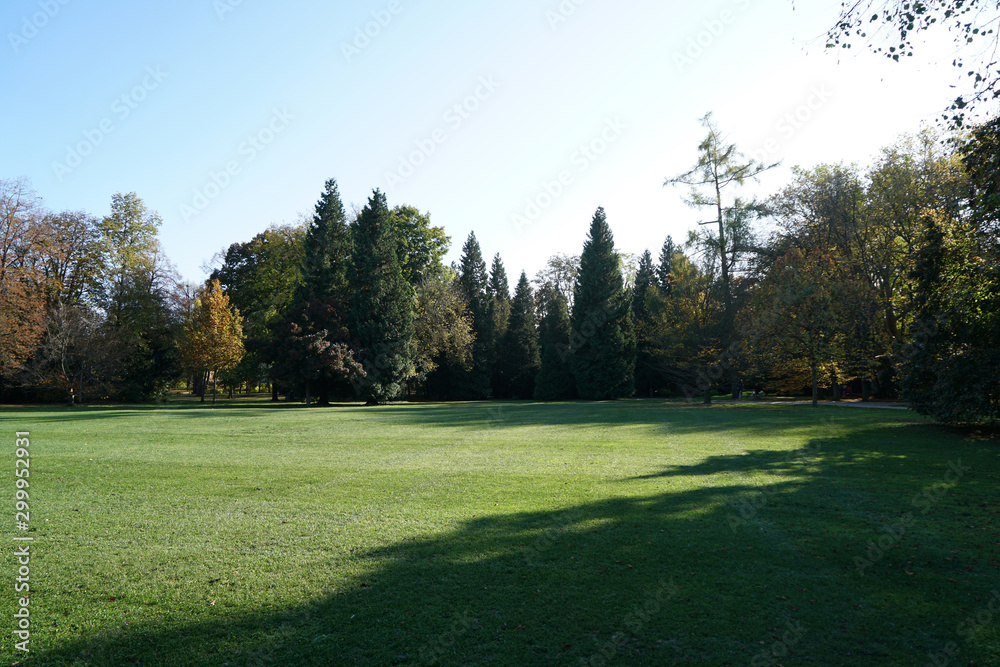 Back light shot on an autumn day in the german park
