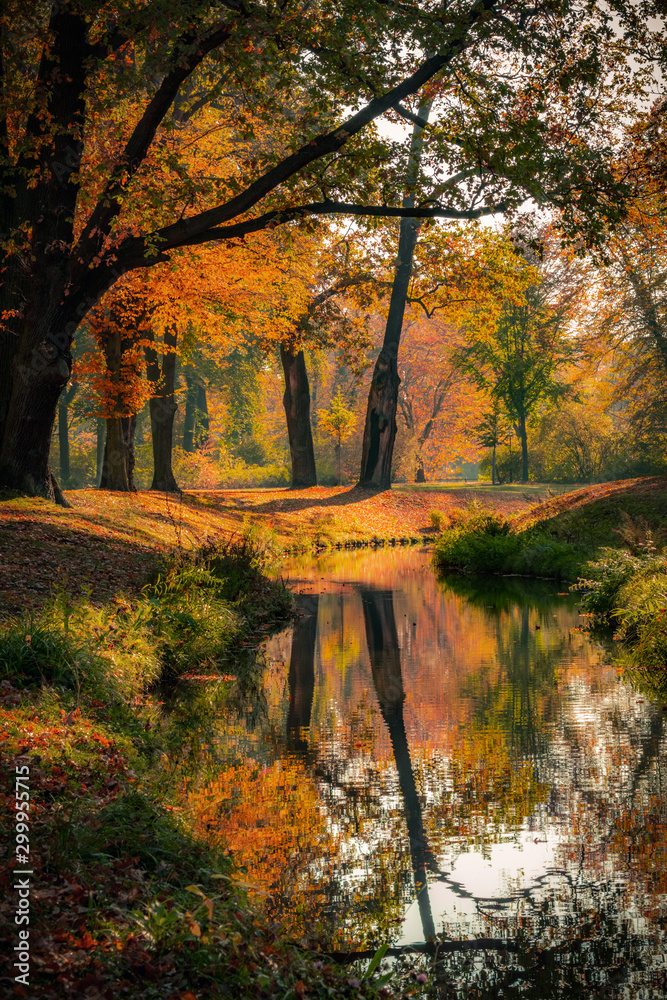 Beautiful autumn landscape with pleasant warm sunny light. Picture taken in Bad Muskau park, Saxony, Germany. UNESCO World Heritage Site.