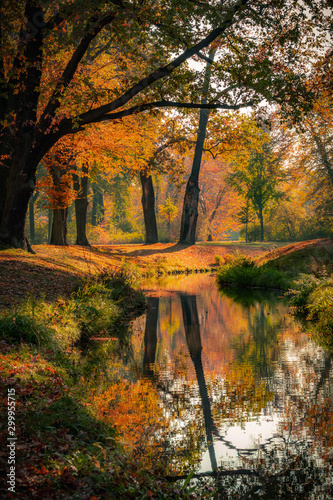 Beautiful autumn landscape with pleasant warm sunny light. Picture taken in Bad Muskau park, Saxony, Germany. UNESCO World Heritage Site.